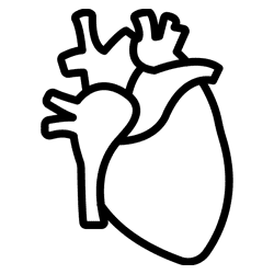 Cardiologist