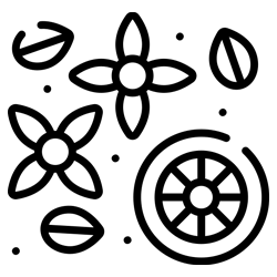 Spices shops