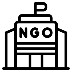NGO & Social Sector Consulting