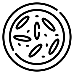 Gujarati Restaurants